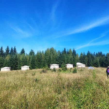 Eco Glamping - Carpathians. Retreat Hub Dzin Space Verhovina Kültér fotó