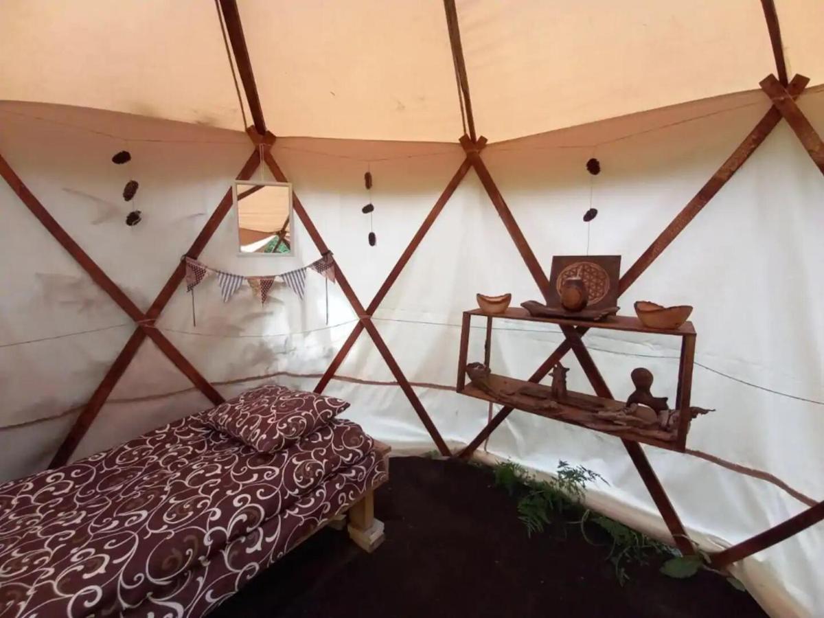 Eco Glamping - Carpathians. Retreat Hub Dzin Space Verhovina Kültér fotó