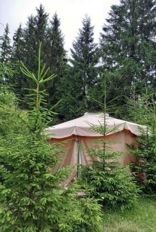 Eco Glamping - Carpathians. Retreat Hub Dzin Space Verhovina Kültér fotó