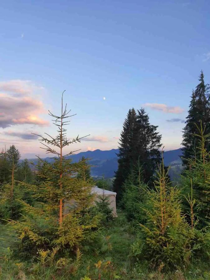 Eco Glamping - Carpathians. Retreat Hub Dzin Space Verhovina Kültér fotó