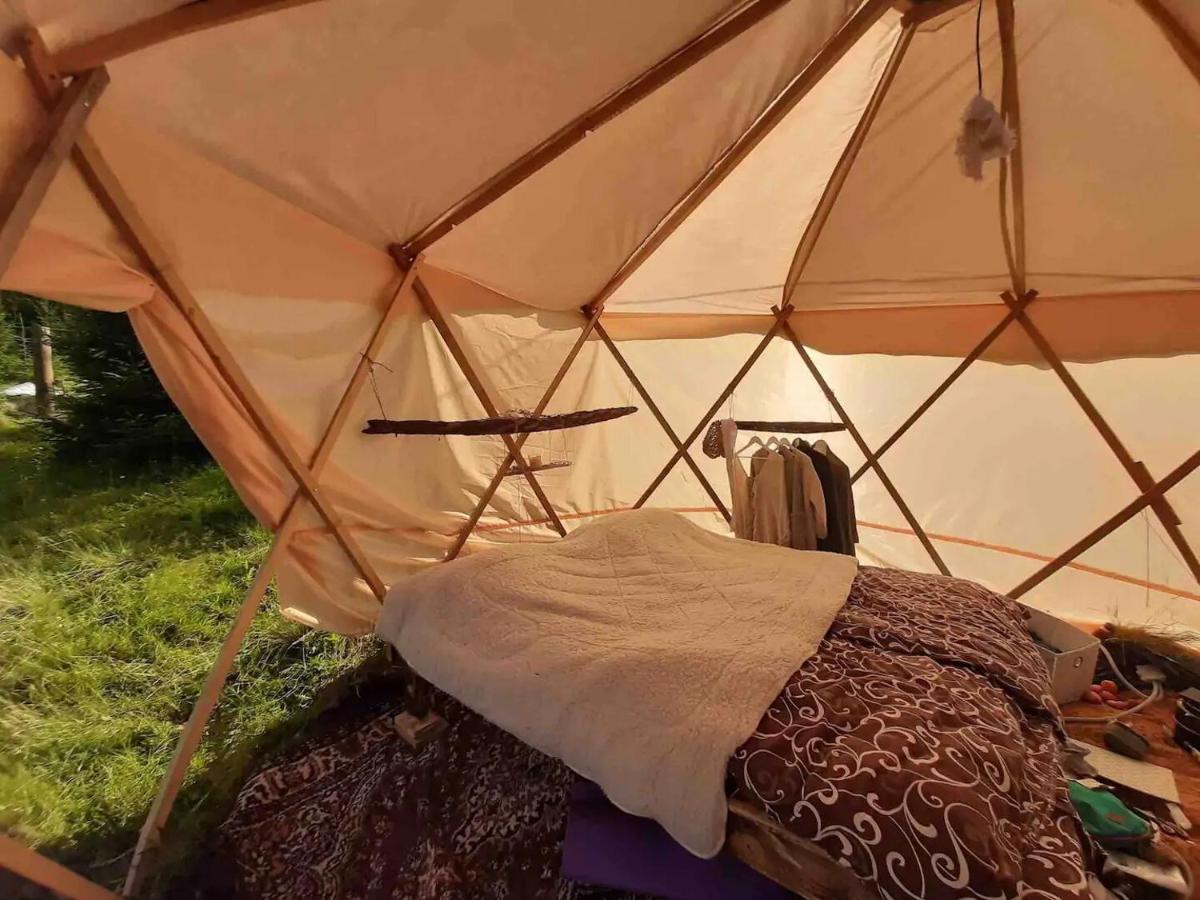 Eco Glamping - Carpathians. Retreat Hub Dzin Space Verhovina Kültér fotó