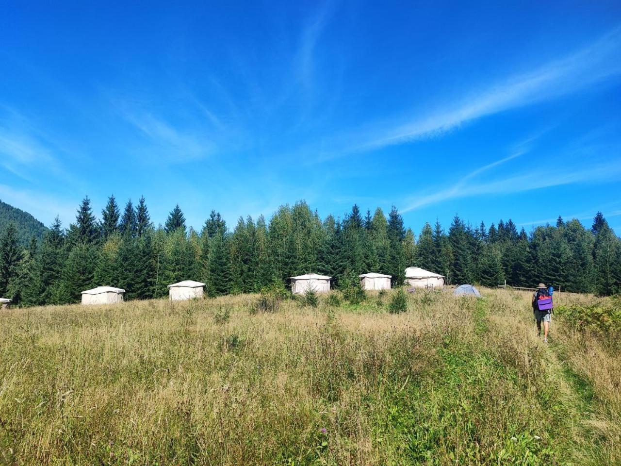 Eco Glamping - Carpathians. Retreat Hub Dzin Space Verhovina Kültér fotó